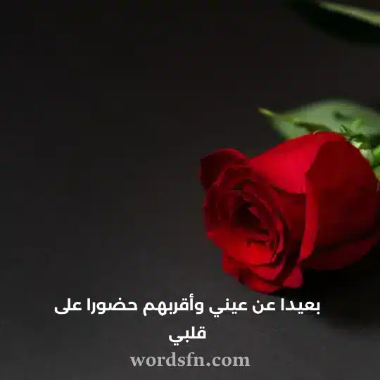 بعيدا عن عيني وأقربهم حضورا على قلبي - فن العبارات بعيدا عن عيني وأقربهم حضورا على قلبي حالات واتس مميزة ونادرة مكتوبة