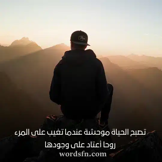 تصبح الحياة موحشة عندما تغيب على المرء روحا أعتاد على وجودها حالات واتس اب كتابة عن الحياة