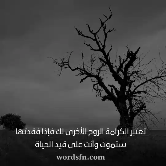 حالات فيس بوك