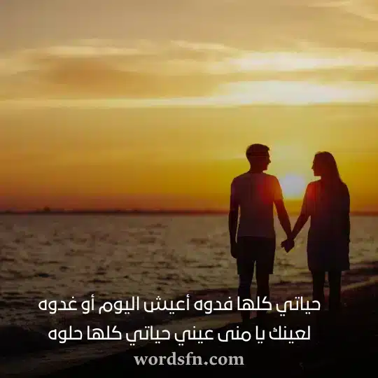 حياتي كلها فدوه أعيش اليوم أو غدوه لعينك يا منى عيني حياتي كلها حلوه حالات عن زوجي