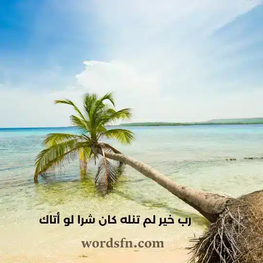 رب خير لم تنله كان شرا لو أتاك - فن العبارات رب خير لم تنله كان شرا لو أتاك حالات واتس مميزة ونادرة مكتوبة