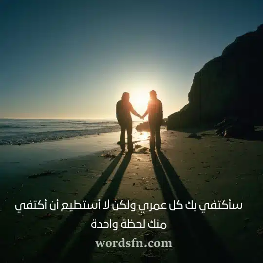 سأكتفي بك كل عمري ولكن لا أستطيع أن أكتفي منك لحظة واحدة حالات واتساب حب وعشق
