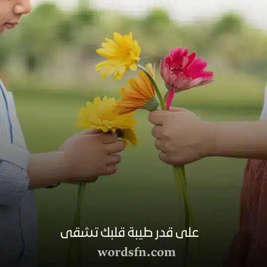 على قدر طيبة قلبك تشقى - فن العبارات على قدر طيبة قلبك تشقى كلام حالات واتس