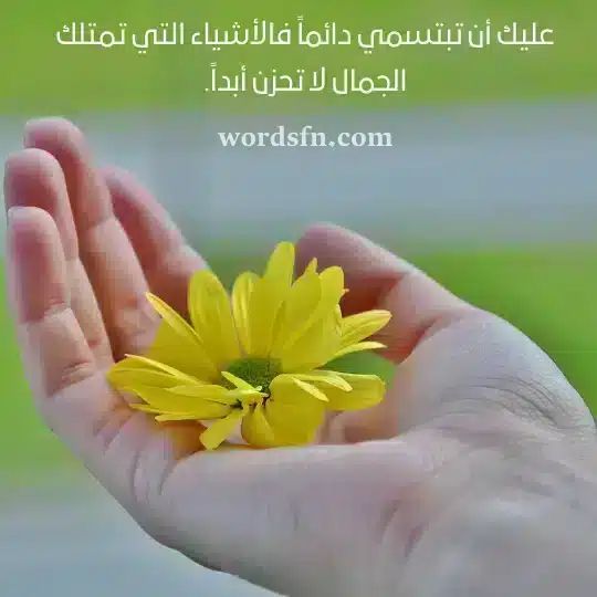 حالات واتس حب ورومانسيه - فن العبارات حالات واتس حب ورومانسيه