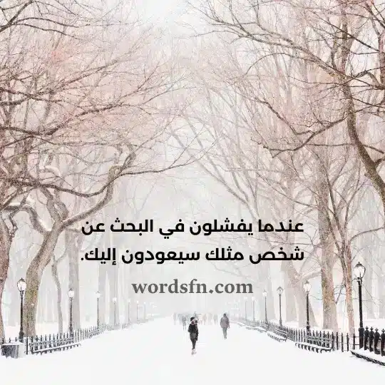 عندما يفشلون في البحث عن شخص مثلك سيعودون إليك حالات واتس اب كتابة