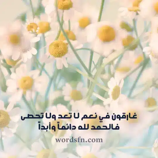 غارقون في نعم لا تعد ولا تحصى فالحمد لله دائماً وأبداً حالات واتس اب كتابة عن الحياة