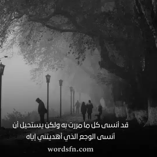 قد أنسى كل ما مررت به ولكن يستحيل أن أنسى الوجع الذي أهديتني إياه حالات واتس راقية كتابة