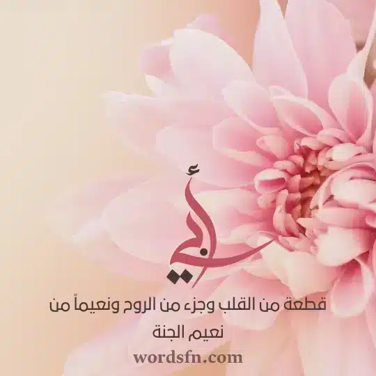 حالات واتس عن الاب
