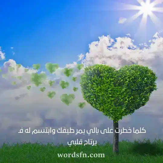 كلما خطرت على بالي يمر طيفك وابتسم له فـ يرتاح قلبي حالات رومانسي