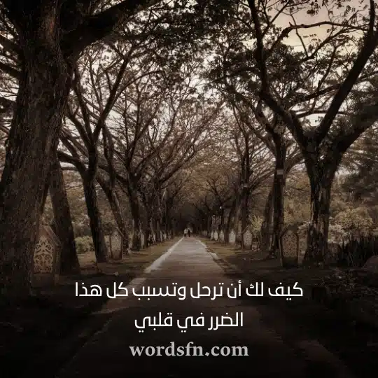 كيف لك أن ترحل وتسبب كل هذا الضرر في قلبي حالات حزينة جدا