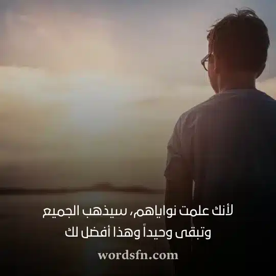 لأنك علمت نواياهم سيذهب الجميع وتبقى وحيداً وهذا أفضل لك حالات فيس بوك
