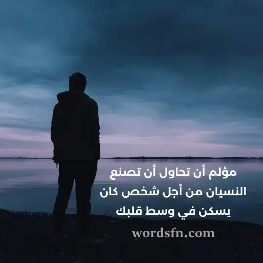 حالات واتساب حزينه