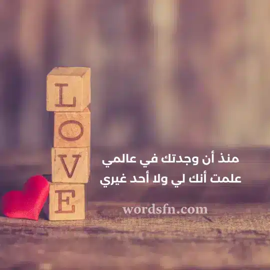 منذ أن وجدتك في عالمي علمت أنك لي ولا أحد غيري حالات واتس اب رومانسي