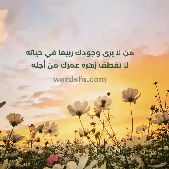 من لا يرى وجودك ربيعا في حياته لا تقطف زهرة عمرك من أجله حالات واتس اب كتابة