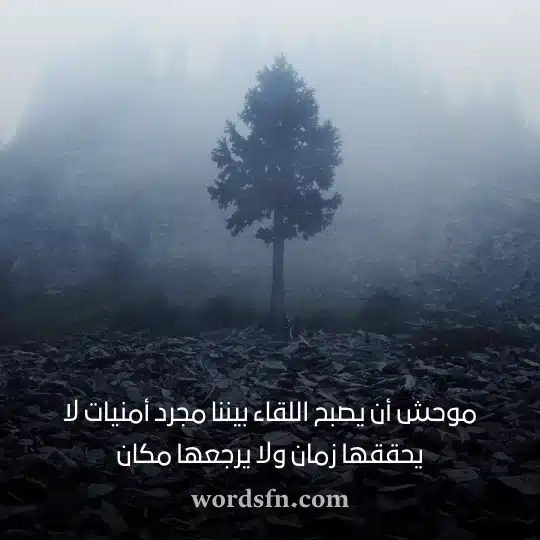 حالات واتس اب حزن