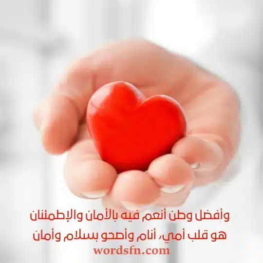 وأفضل وطن أنعم فيه بالأمان والإطمئنان هو قلب أمي أنام وأصحو بسلام وأمانwebp - فن العبارات وأفضل وطن أنعم فيه بالأمان والإطمئنان هو قلب أمي أنام وأصحو بسلام وأمان حالات واتساب عن الام