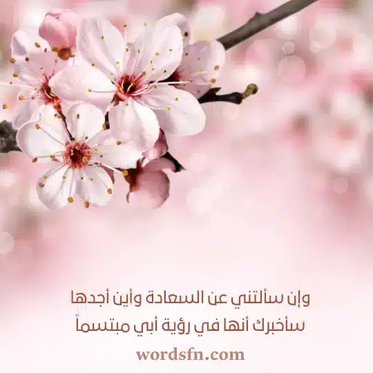 وإن سألتني عن السعادة وأين أجدها سأخبرك أنها في رؤية أبي مبتسماً حالات واتس عن الاب