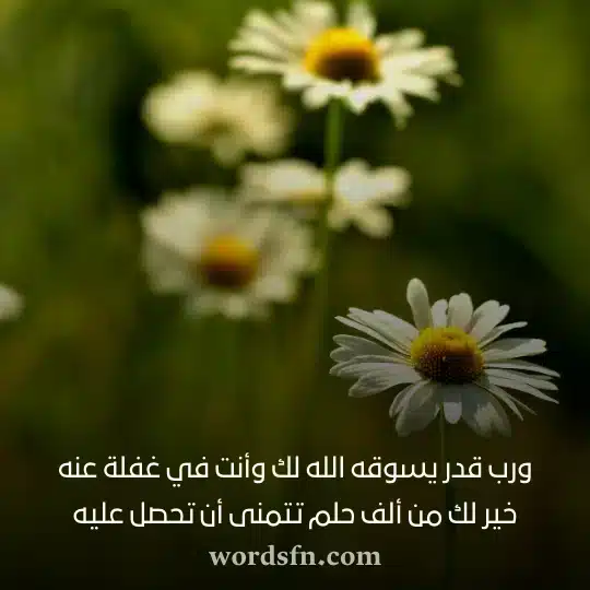 ورب قدر يسوقه الله لك وأنت في غفلة عنه خير لك من ألف حلم تتمنى أن تحصل عليه حالات نجاح