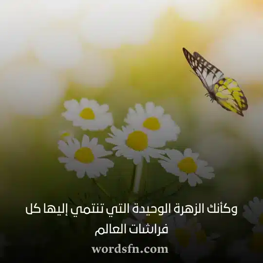 حالات واتس رومانسي - فن العبارات حالات واتس رومانسي