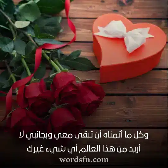 وكل ما أتمناه أن تبقى معي وبجانبي لا أريد من هذا العالم أي شيء غيرك حالات رومانسي