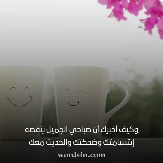 وكيف أخبرك أن صباحي الجميل ينقصه إبتسامتك وضحكتك والحديث معك حالات صباح الخير