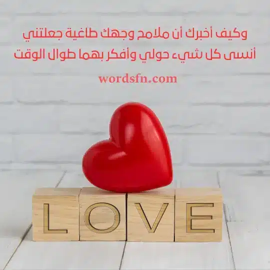 وكيف أخبرك أن ملامح وجهك طاغية جعلتني أنسى كل شيء حولي وأفكر بهما طوال الوقت 1 - فن العبارات وكيف أخبرك أن ملامح وجهك طاغية جعلتني أنسى كل شيء حولي وأفكر بهما طوال الوقت اجمل حالات حب