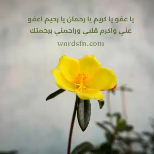 يا عفو يا كريم يا رحمان يا رحيم اعفو عني واكرم قلبي وراحمني برحمتك حالات واتس دينية مؤثرة