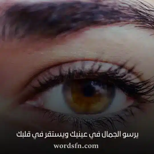 يرسو الجمال في عينيك ويستقر في قلبك - فن العبارات يرسو الجمال في عينيك ويستقر في قلبك حالات واتس رومانسي