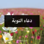 دعاء التوبة