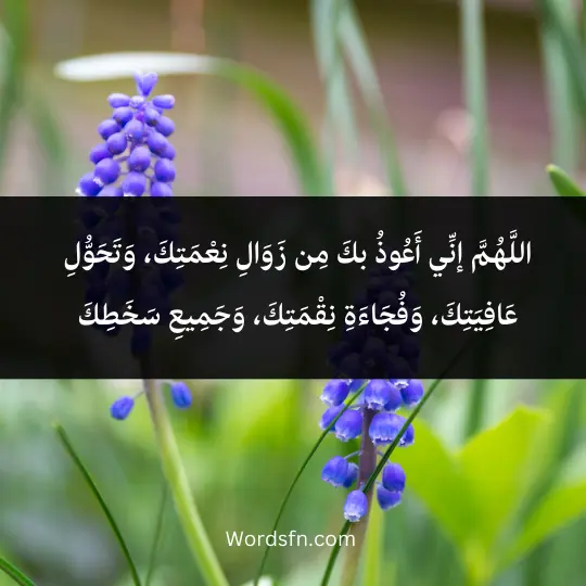 اللَّهُمَّ إنِّي أَعُوذُ بكَ مِن زَوَالِ نِعْمَتِكَ، وَتَحَوُّلِ عَافِيَتِكَ، وَفُجَاءَةِ نِقْمَتِكَ، وَجَمِيعِ سَخَطِكَ