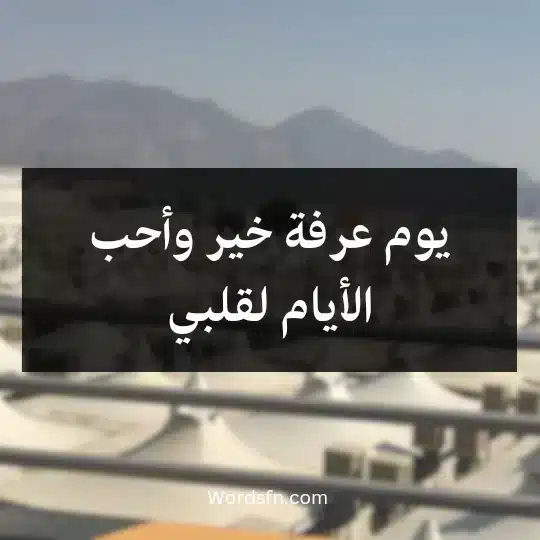 يوم عرفة خير وأحب الأيام لقلبي