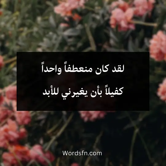 Beautiful-phrases-about-life 2 - فن العبارات لقد كان منعطفاً واحداً كفيلاً بأن يغيرني للأبد