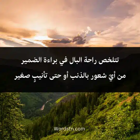 Beautiful-phrases-about-peace-of-mind 4 - فن العبارات تتلخص راحة البال في براءة الضمير من أيّ شعور بالذنب أو حتى تأنيبٍ صغير