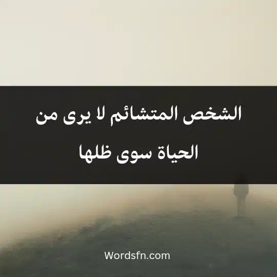 Beautiful-words-and-expressions-about-life1 - فن العبارات الشخص المتشائم لا يرى من الحياة سوى ظلها