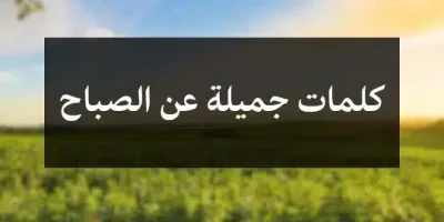 كلمات جميلة عن الصباح