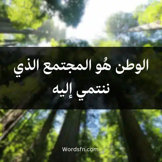 الوطن هُو المجتمع الذي ننتمي إليه