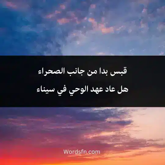 قبس بدا من جانب الصحراء هل عاد عهد الوحي في سيناء