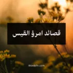قصائد امرؤ القيس
