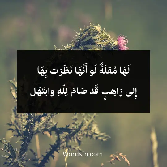 لَهَا مُقلَةٌ لَو أَنَّهَا نَظَرَت بِهَا إِلى رَاهِبٍ قَد صَامَ لِلّهِ وابتَهَل