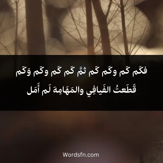 فكَم كَم وكَم كَم ثمَّ كَم كَم وكَم وَكَم قَطَعتُ الفَيافِي والمَهَامِهَ لَم أَمَل