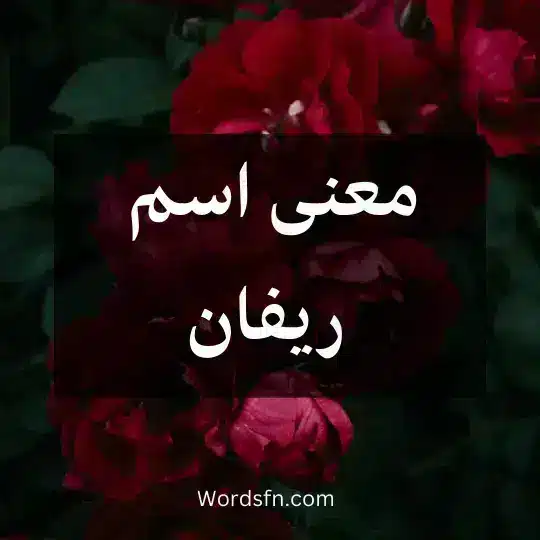 معنى اسم ريفان