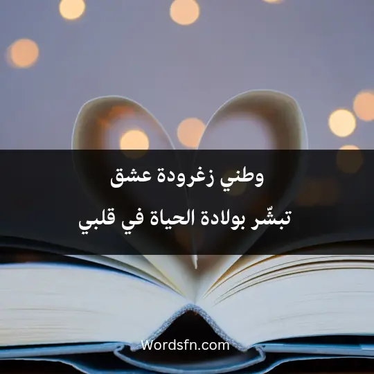 وطني زغرودة عشق تبشّر بولادة الحياة في قلبي