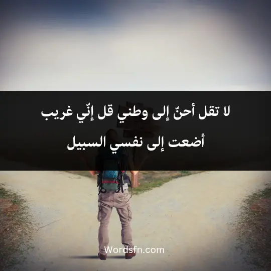 لا تقل أحنّ إلى وطني، قل إنّي غريب أضعت إلى نفسي السبيل