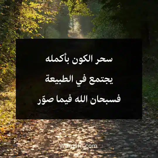 Phrases-about-beautiful-nature 2 1 - فن العبارات سحر الكون بأكمله يجتمع في الطبيعة فسبحان الله فيما صوّر