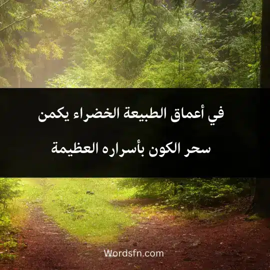 Phrases-about-beautiful-nature 3 - فن العبارات في أعماق الطبيعة الخضراء يكمن سحر الكون بأسراره العظيمة