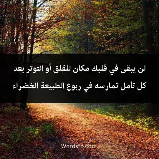 Phrases-about-beautiful-nature 4 1 - فن العبارات لن يبقى في قلبك مكان للقلق أو التوتر بعد كل تأمل تمارسه في ربوع الطبيعة الخضراء