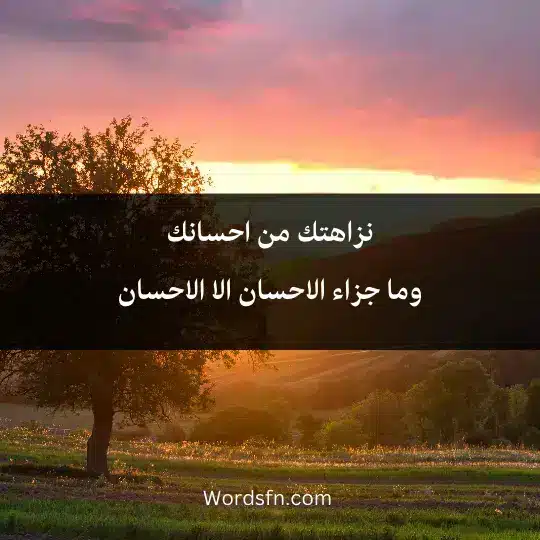 نزاهتك من احسانكوما جزاء الاحسان الا الاحسان