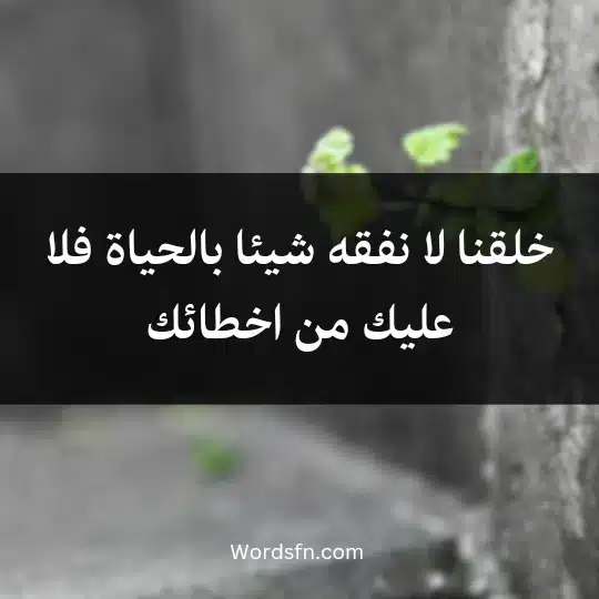 خلقنا لا نفقه شيئا بالحياة فلا عليك من اخطائك