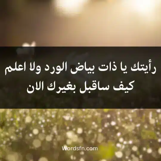 رايتك يا ذات بياض الورد ولا اعلم كيف ساقبل بغيرك الان