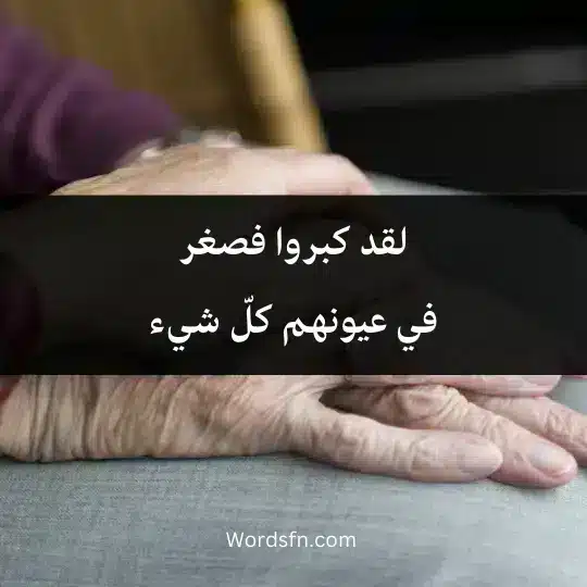 Phrases-for-the-elderly 4 - فن العبارات لقد كبروا فصغر في عيونهم كلّ شيء